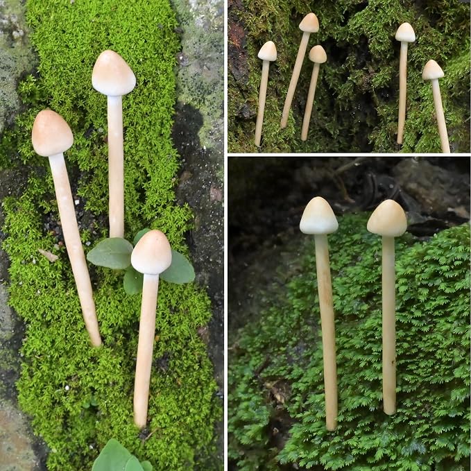 8-Pack Handmade Clay Mushrooms - Image 6