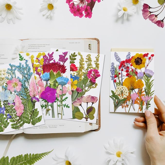 Dried Flowers | 72pcs Natural Pressed Flowers and Leaves - Image 4
