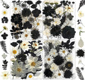 131PCS Black White Dried Pressed Flowers by YouthBro