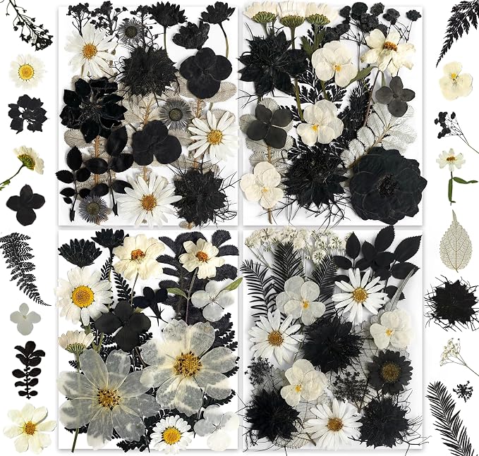 131PCS Black White Dried Pressed Flowers by YouthBro