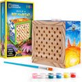 National Geographic Build a Bee Habitat Craft Kit by BlueMarbleToys