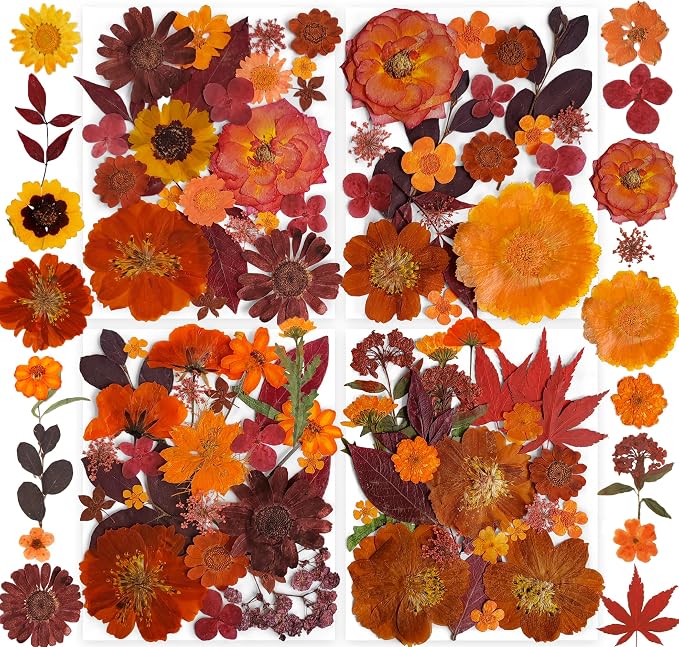 141PCS Brown Fall Dried Pressed Flowers by YouthBro