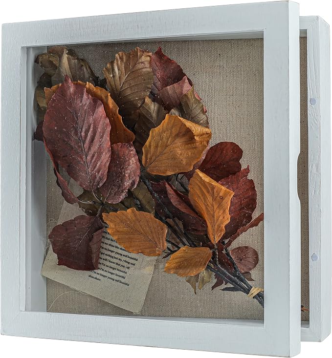 Freezing point Shadow Box Frame 10x10 Shadow Boxes Display Case by Freezingpoint