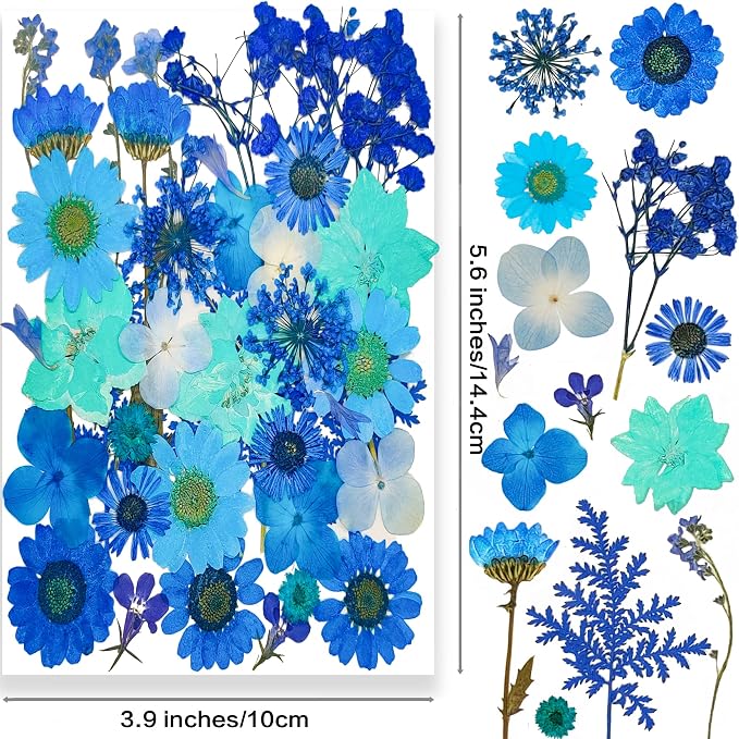 14 Types 37pcs Blue Dried Pressed Flowers - Image 2