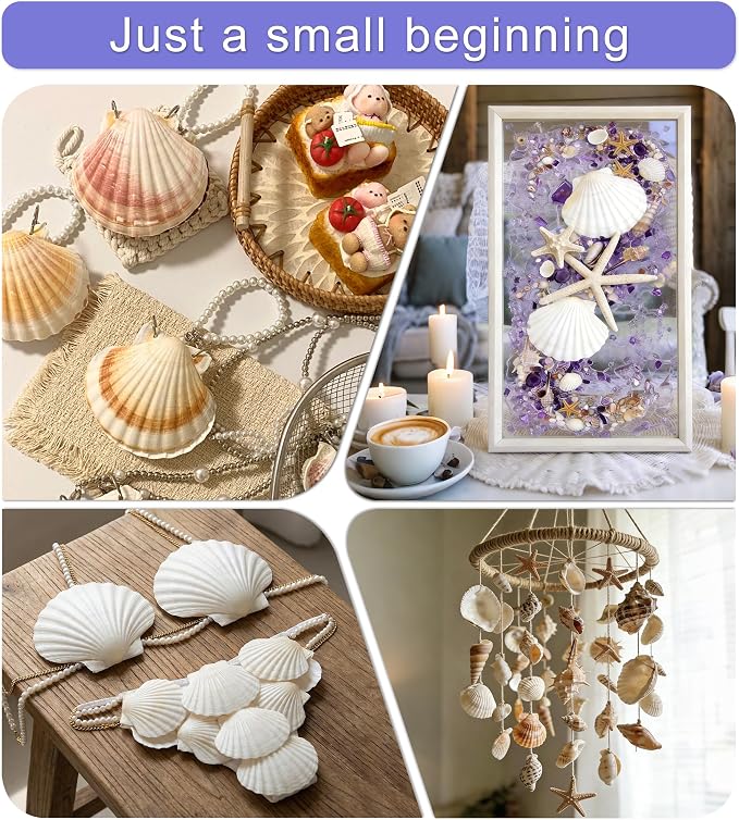 Denking 20 PCS Scallop Shells 3.5-4 inch Natural White Seashells - Image 4