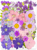YouthBro 40pcs Purple Dried Pressed Flowers by YouthBro