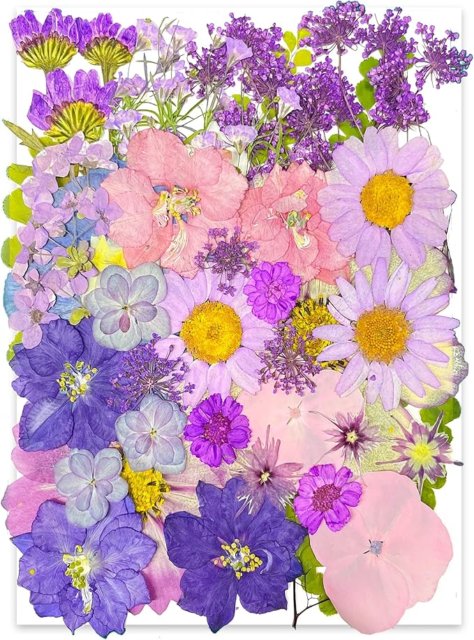 YouthBro 40pcs Purple Dried Pressed Flowers by YouthBro