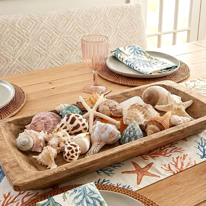 JQAQJU Sea Shells Mixed Beach Seashells 20 Kinds, 1.5"-5.5" Various Sizes Large - Image 3