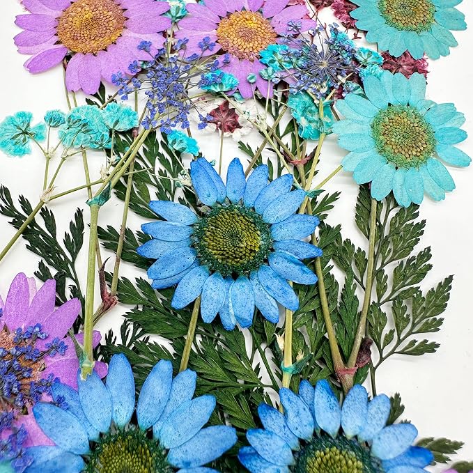 Woohome 110PCS Real Pressed Flowers, Dried Pressed Flowers Colorful Real - Image 5