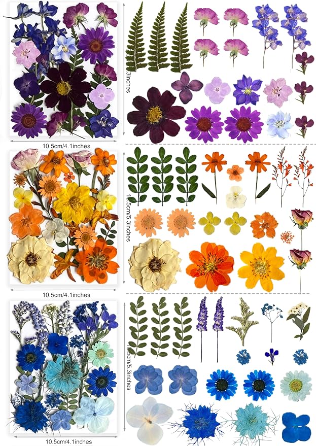 120Pcs Multi-Style Dried Pressed Flowers & Leaves - Image 4