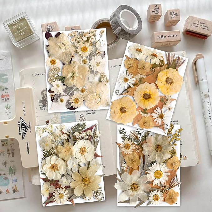 96PCS Vintage White Dried Pressed Flowers - Image 2