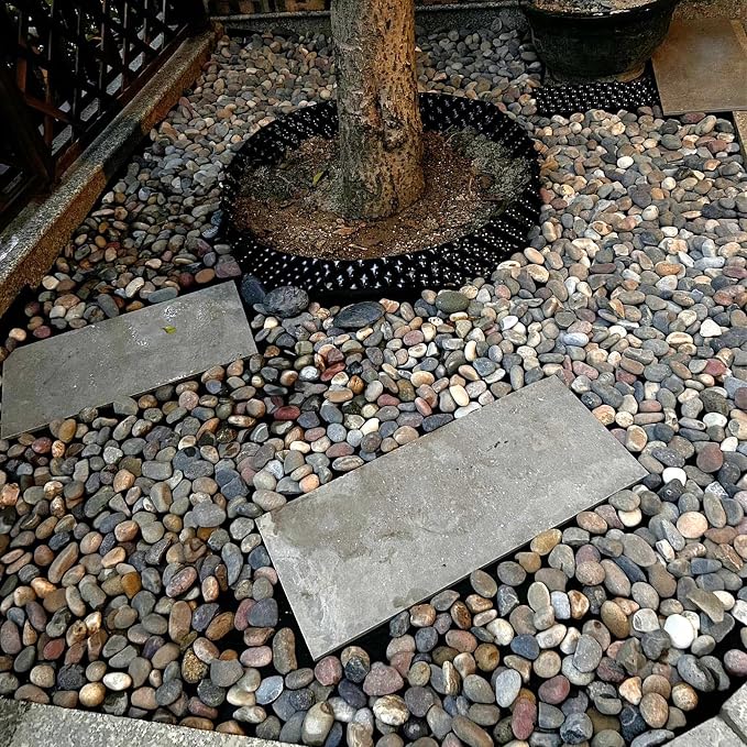 FANTIAN 5 lbs Pebbles for Plants, 1-2 Inch Decorative River Rocks for Plants - Image 8