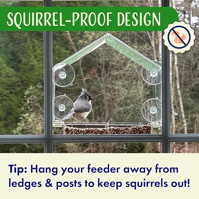 Window Bird Feeder with Strong Suction Cups, Balcony Glass Mount, Acrylic Cat - Image 3