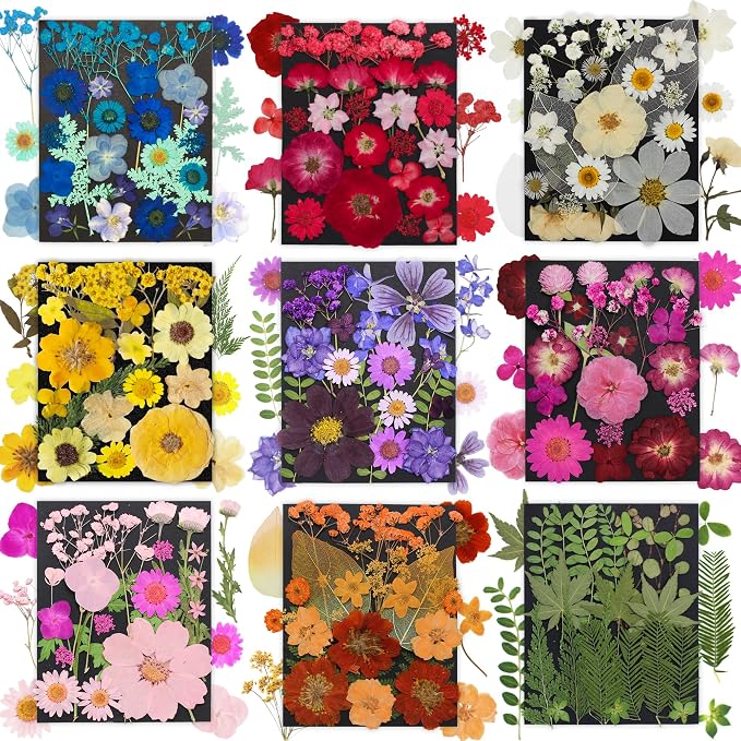 285Pcs 9 Packs Mixed Types Real Natural Dried Pressed Flowers & Leaves by Unknown