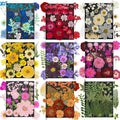 285Pcs 9 Packs Mixed Types Real Natural Dried Pressed Flowers & Leaves by Unknown