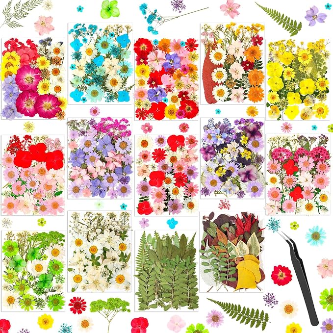 481 PCS Pressed Flowers for Crafts, Real Dried Pressed Flowers Nature Dry by Cruzix