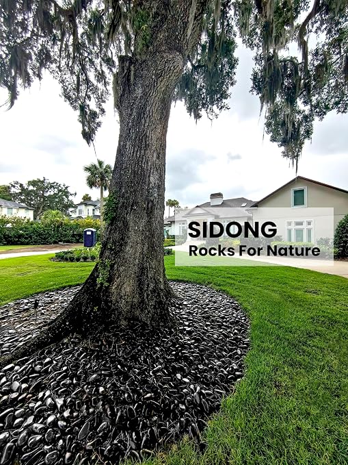 SIDONG 10 LB Black River Rocks, 0.4-1.2 Inches Highly Polished Pebbles - Image 3
