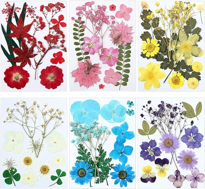 eBoot 72 Pcs Dried Pressed Flowers by eBoot