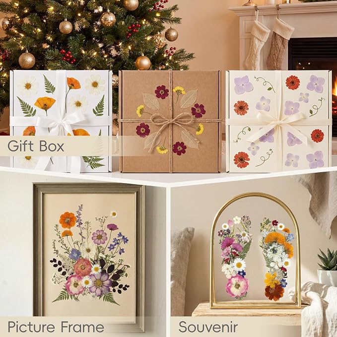 LUXEEASE 4 Color 120P Mixed Blooms Dried Pressed Flowers | Big small blooms - Image 8