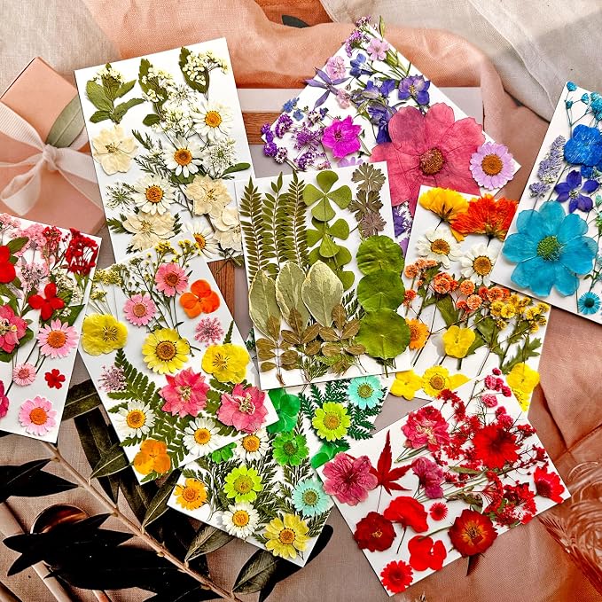 MIKIYA 182Pcs Dried Pressed Flowers - Image 3