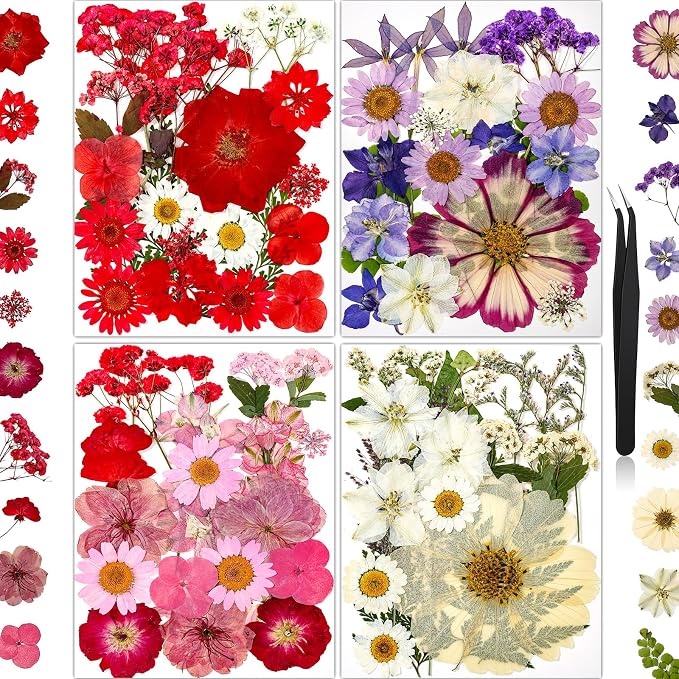 85Pcs Pressed Flowers for Crafts, Real Dried Flowers for Crafts Dried Pressed by HLCYGJIN
