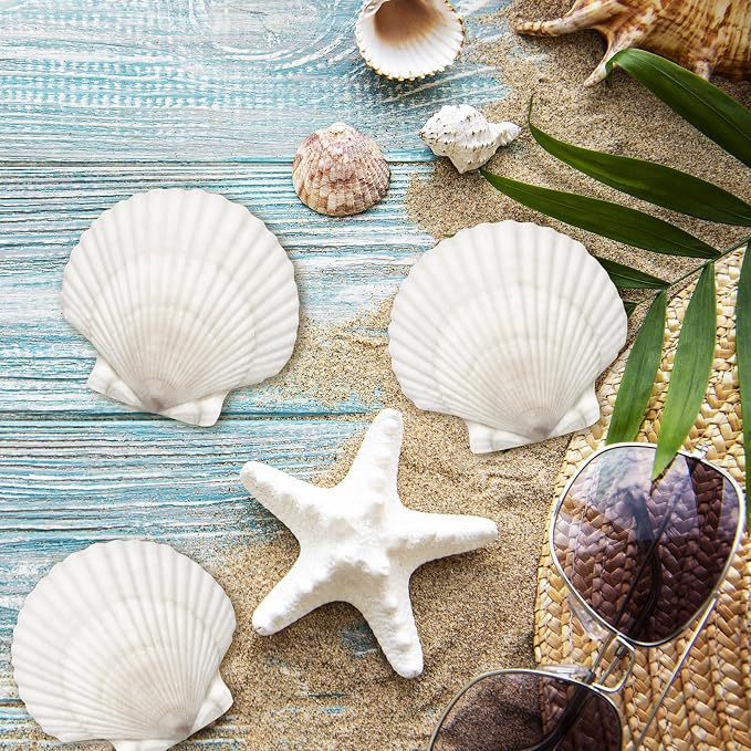 25 Pcs Large Scallop Shells for Crafts 4''-5'' White Scallop Shells Large - Image 5