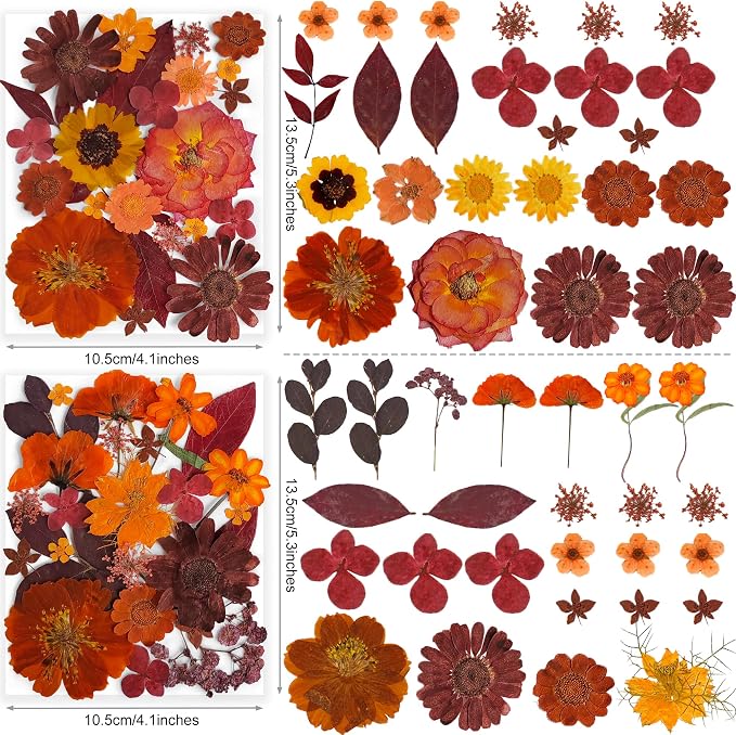 141PCS Brown Fall Dried Pressed Flowers - Image 4