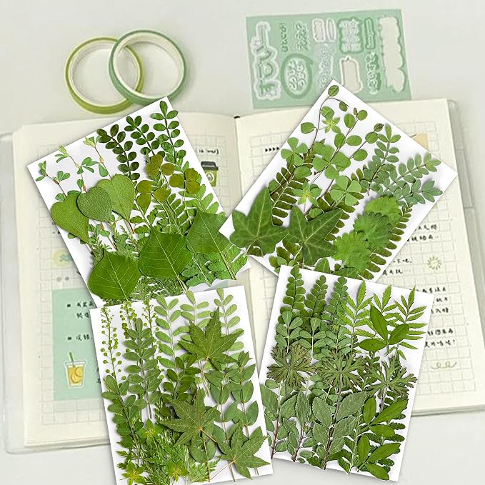 85PCS Real Green Dried Pressed Leaf Leaves, 28 Styles Greeny Mixed | 85PCS Real - Image 2