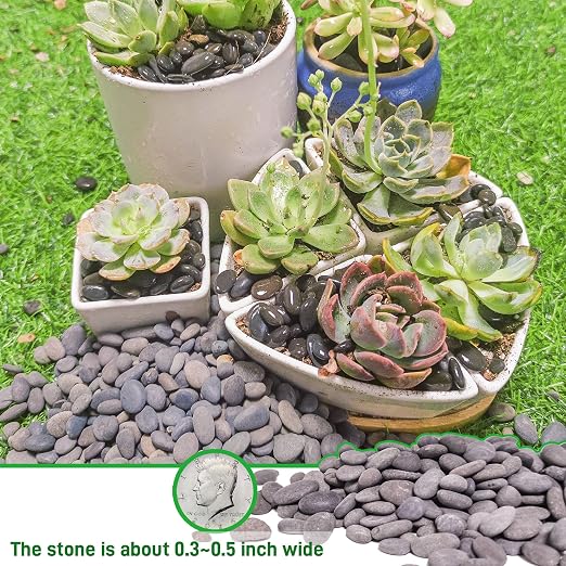 2.4lb River Rocks Pebbles for Plants & Succulents, Decorative Outdoor - Image 3