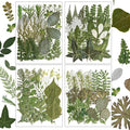 Resiners Dried Pressed Flowers for Resin Molds, Real Natural Dried Flowers Dry by Resiners
