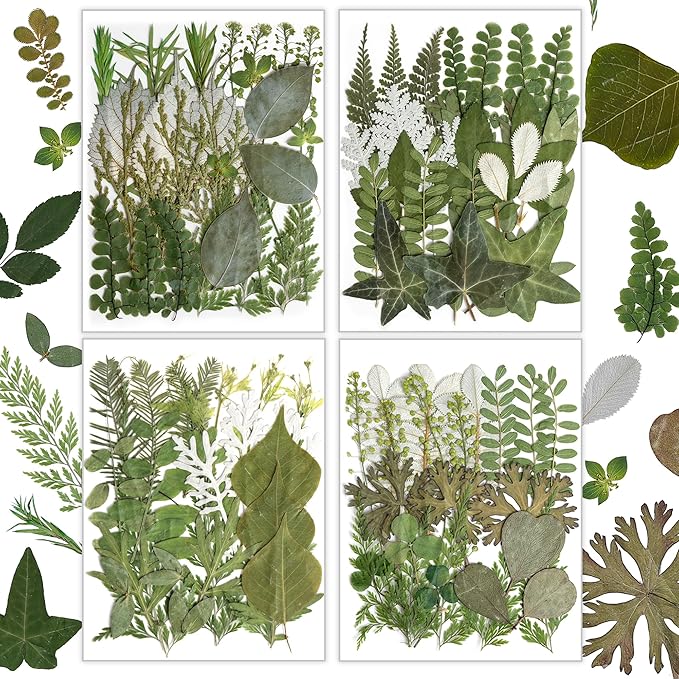 Resiners Dried Pressed Flowers for Resin Molds, Real Natural Dried Flowers Dry by Resiners