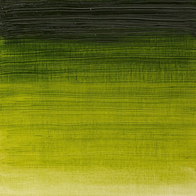 Winsor & Newton Winton Oil Color, 37ml Tube, Sap Green - Image 2