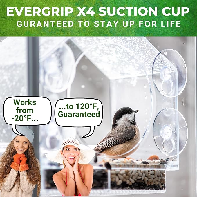 Nature Anywhere Window Bird Feeder - Image 5