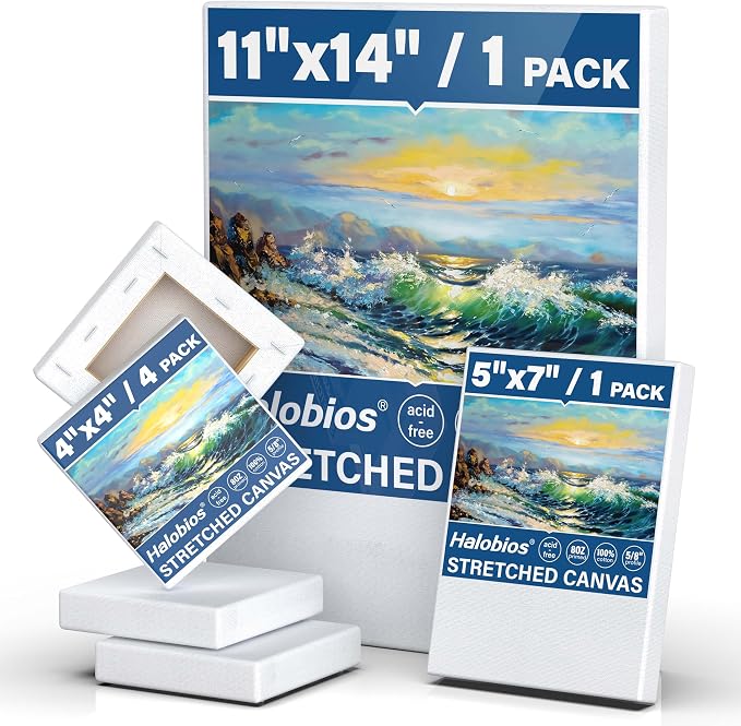 Halobios 6 Packs Stretched Canvases by Halobios