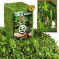 DUSPRO Green Forest Moss for Crafts, Real Dried Decorative Moss, 1.25 Lbs | by DUSPRO