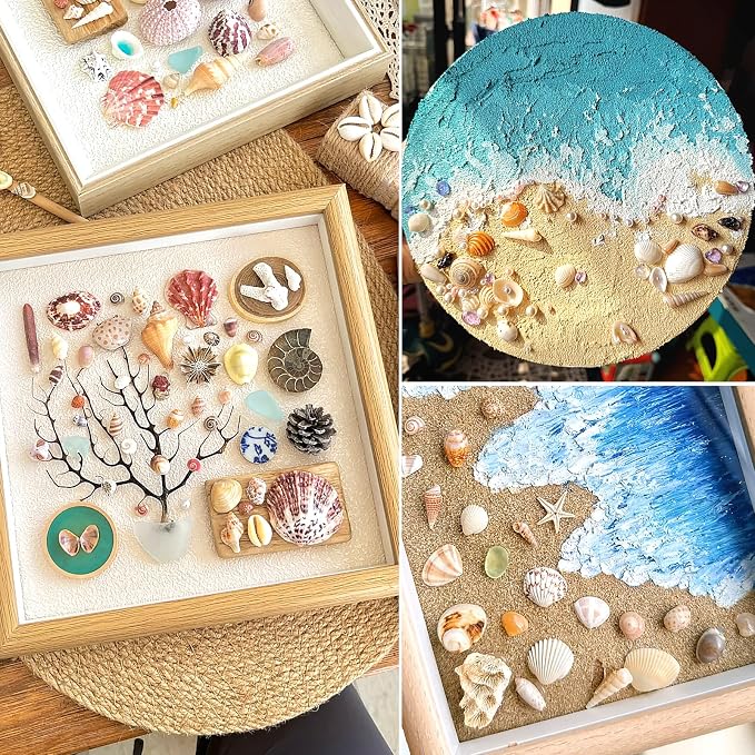 Fangoo 15 Types 800 Pcs Natural Tiny Mini Sea Shell Conch Starfish - Image 5
