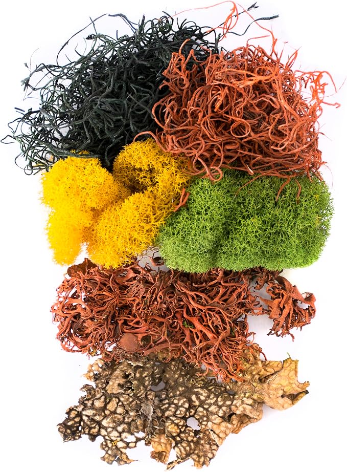 SuperMoss Moss Mix – Premium Decorative Moss - Image 2