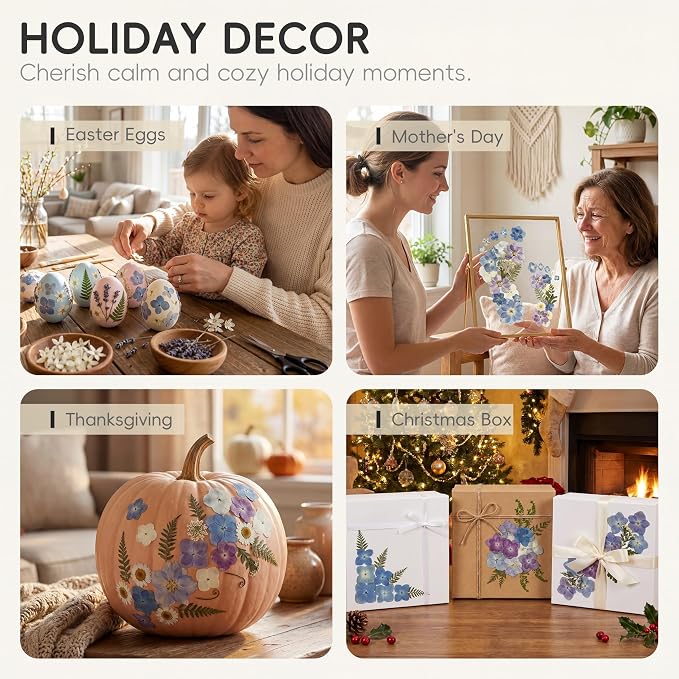 LUXEEASE 140P Hydrangea Dried Pressed Flowers | Large petals, star blooms - Image 7