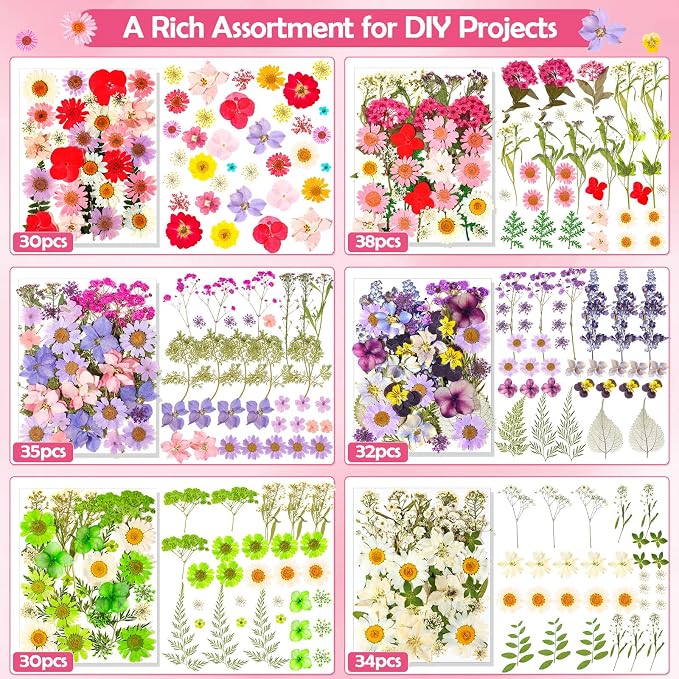 481 PCS Pressed Flowers for Crafts, Real Dried Pressed Flowers Nature Dry - Image 4