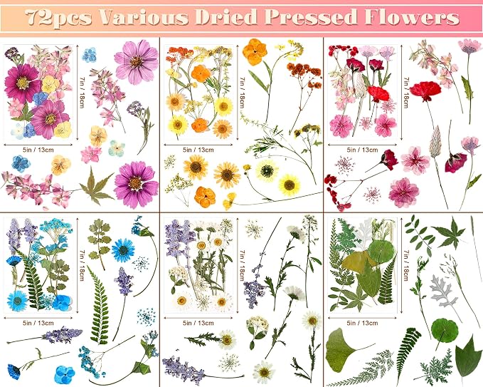 EBOOT 72 Pcs Dried Pressed Flowers - Image 2