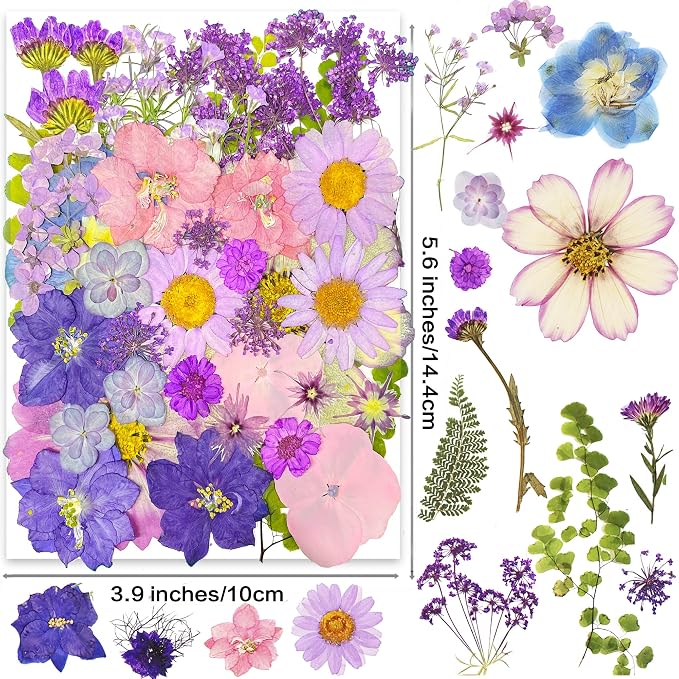 YouthBro 40pcs Purple Dried Pressed Flowers - Image 2
