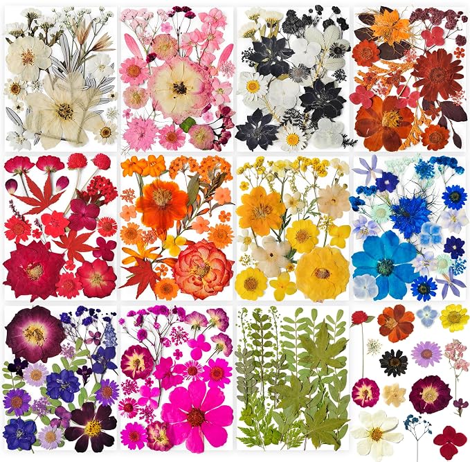 320PCS Dried Pressed Flowers Bulk by YouthBro