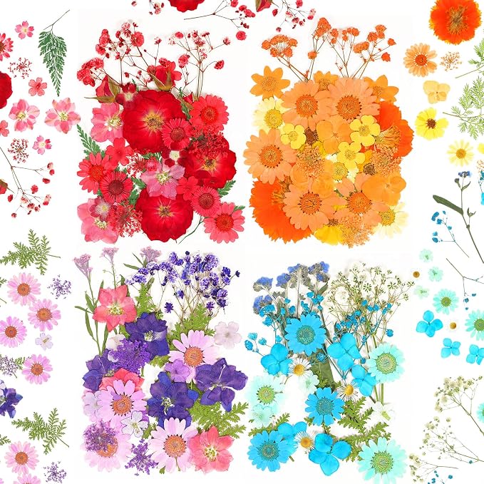 100 Pieces Dried Pressed Flowers by Cindeer