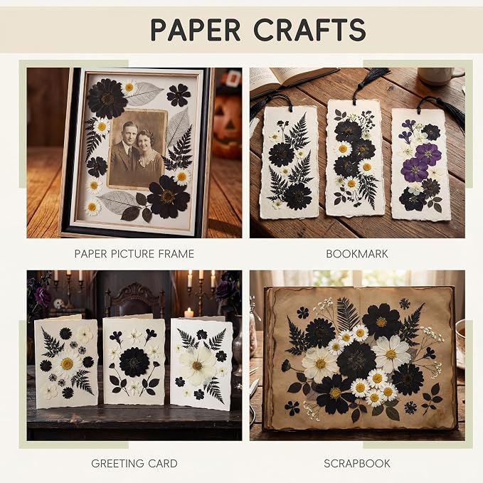 LUXEEASE 90P Halloween Black & White Dried Pressed Flowers | Gothic elegant - Image 6