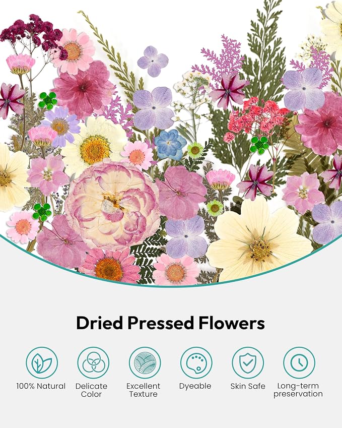 Dried Flowers, Resiners 100Pcs Pressed Flowers - Image 5