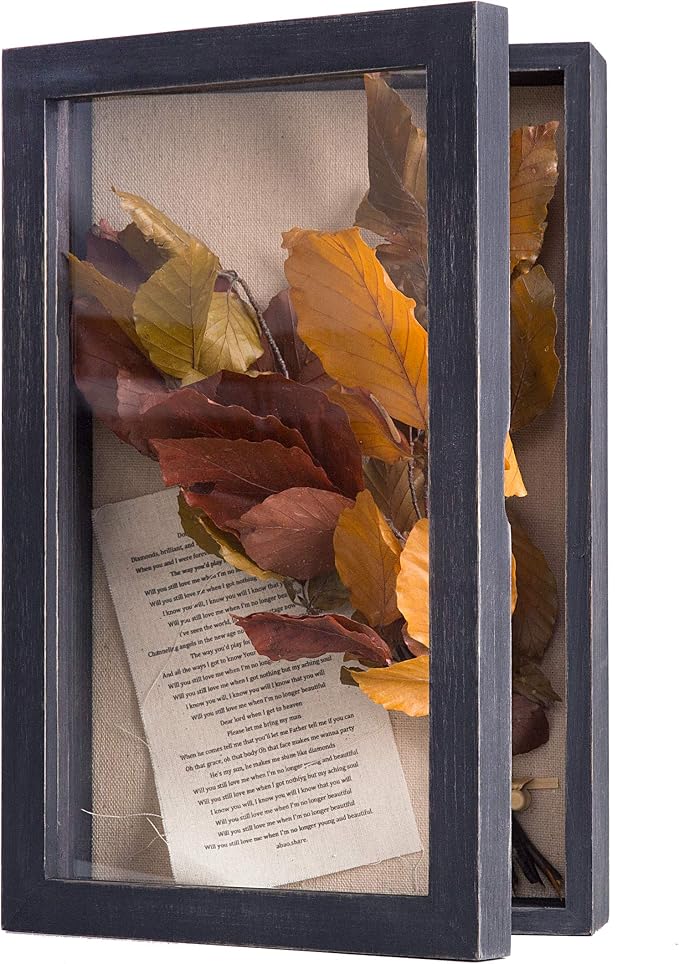 Freezing point Shadow Box Frame 8x12.5 Shadow Box Display Case Cabinet Picture by Freezingpoint