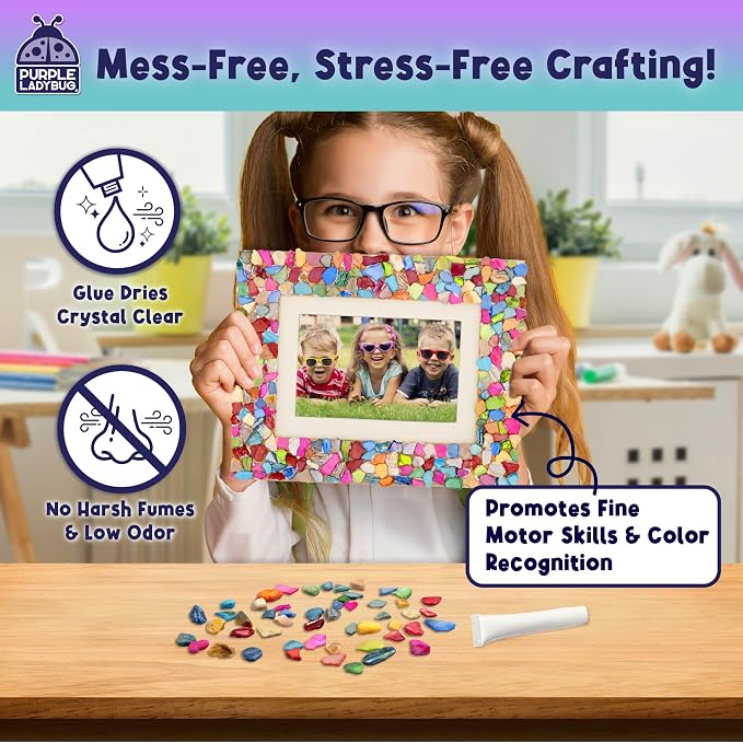 PURPLE LADYBUG DIY Mosaic Photo Frame Crafts - Image 5