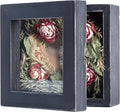 Freezing point Shadow Box Frame 5x5 Shadow Box Display Case Cabinet Picture by Freezingpoint