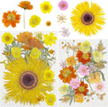 Woohome 44 PCS Orange Real Pressed Flowers, Dried Pressed Flowers by Woohome