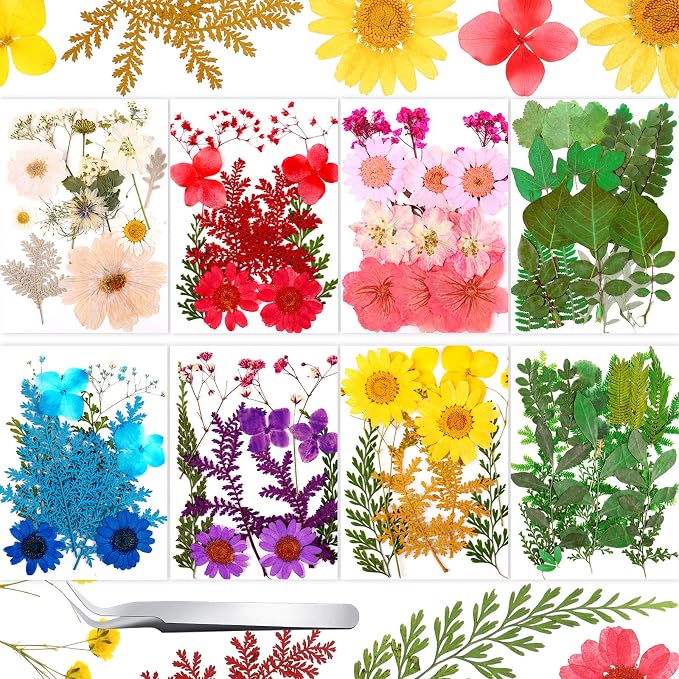 Nuanchu 109 Pieces Dried Pressed Flowers by Nuanchu
